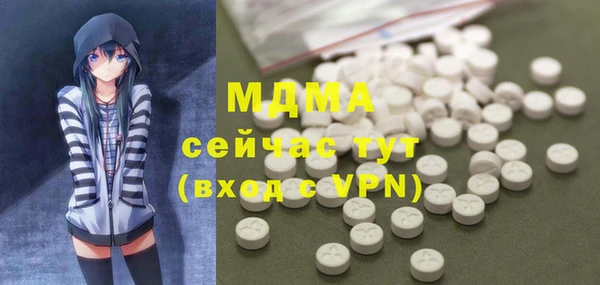 прущие грибы Абаза