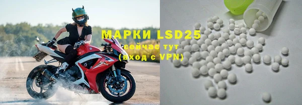 прущие грибы Абаза