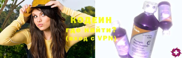 прущие грибы Абаза