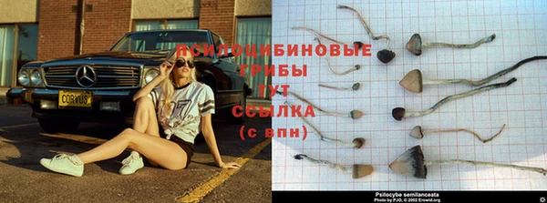 герыч Абдулино