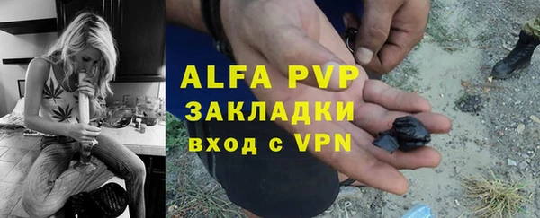прущие грибы Абаза