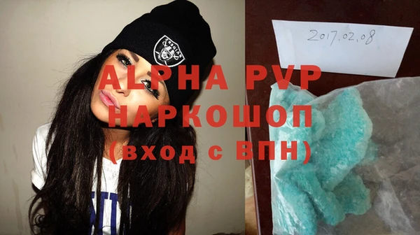 прущие грибы Абаза